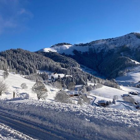 Demi Chalet Le Lachat Notre-Dame-de-Bellecombe Zewnętrze zdjęcie