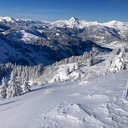 Demi Chalet Le Lachat Notre-Dame-de-Bellecombe Zewnętrze zdjęcie
