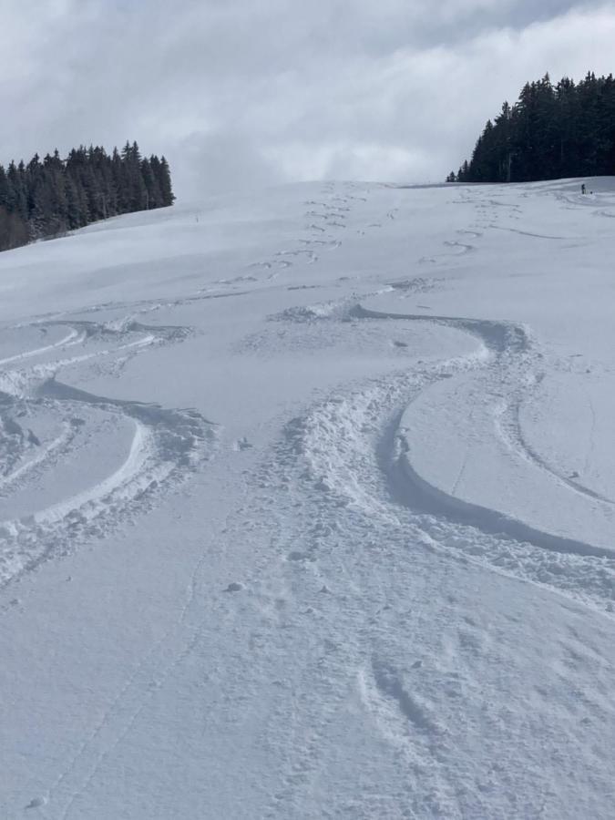 Demi Chalet Le Lachat Notre-Dame-de-Bellecombe Zewnętrze zdjęcie