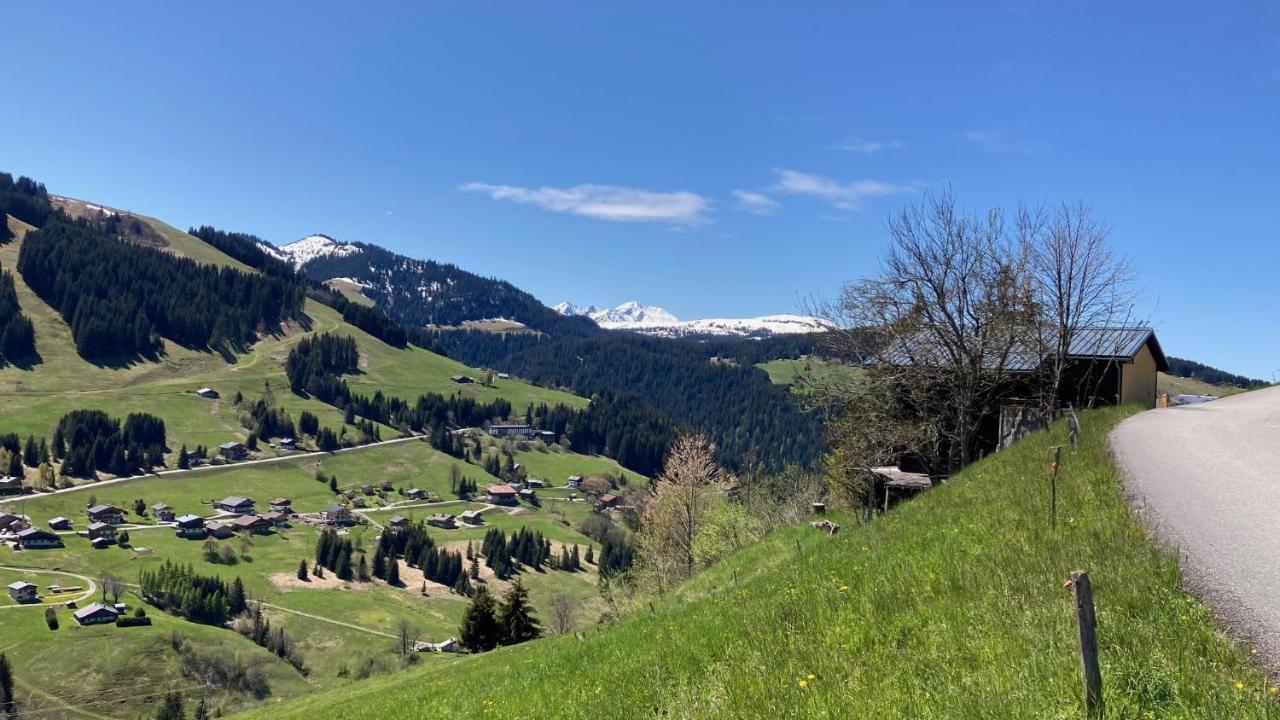 Demi Chalet Le Lachat Notre-Dame-de-Bellecombe Zewnętrze zdjęcie