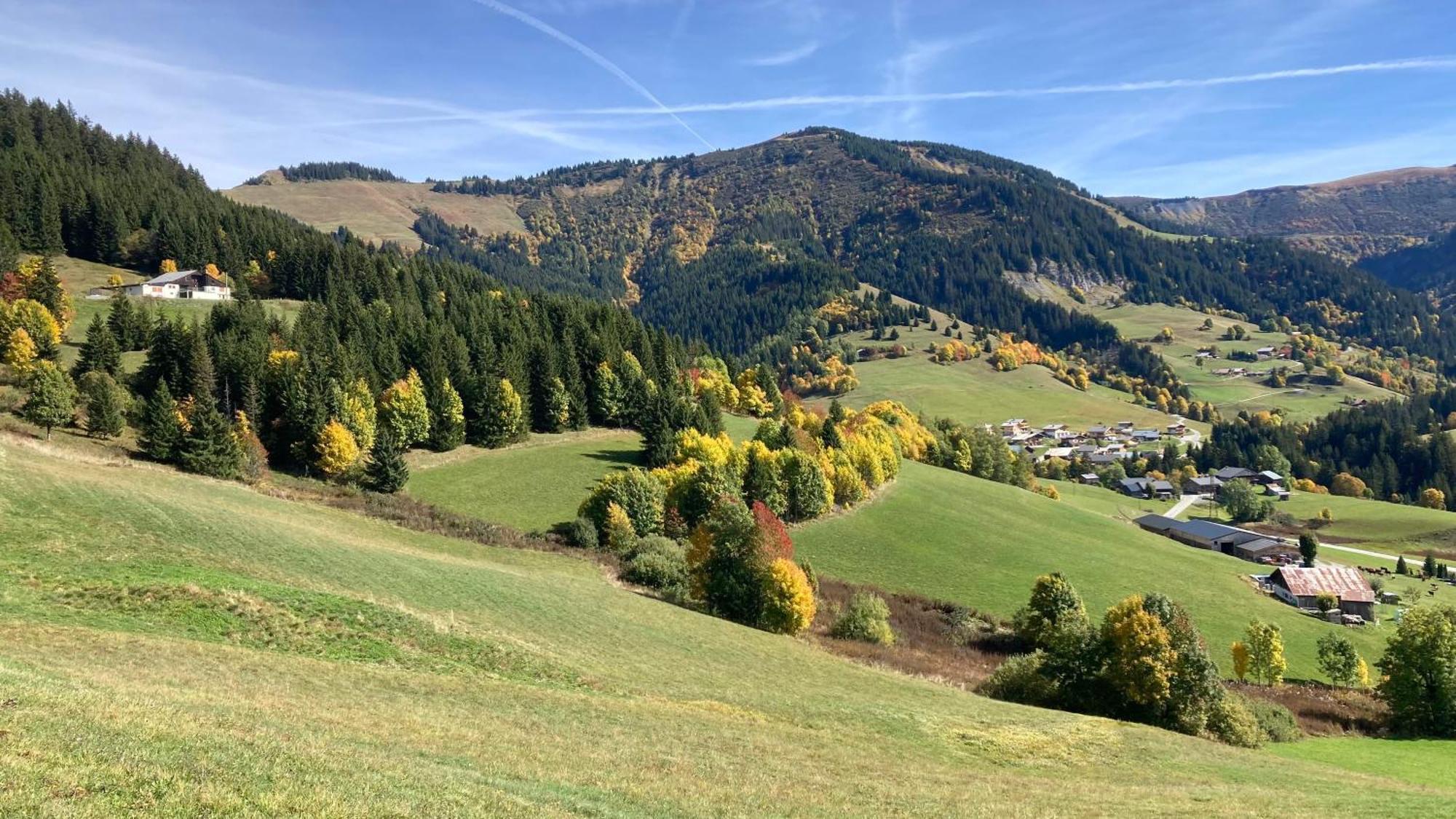 Demi Chalet Le Lachat Notre-Dame-de-Bellecombe Zewnętrze zdjęcie