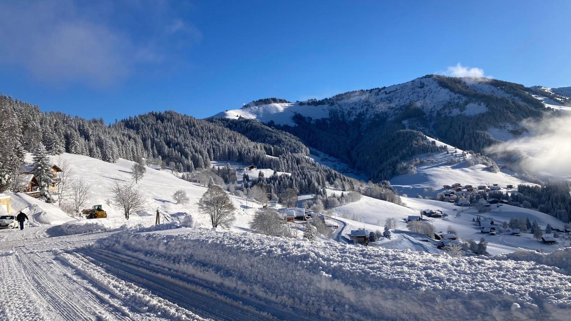 Demi Chalet Le Lachat Notre-Dame-de-Bellecombe Zewnętrze zdjęcie