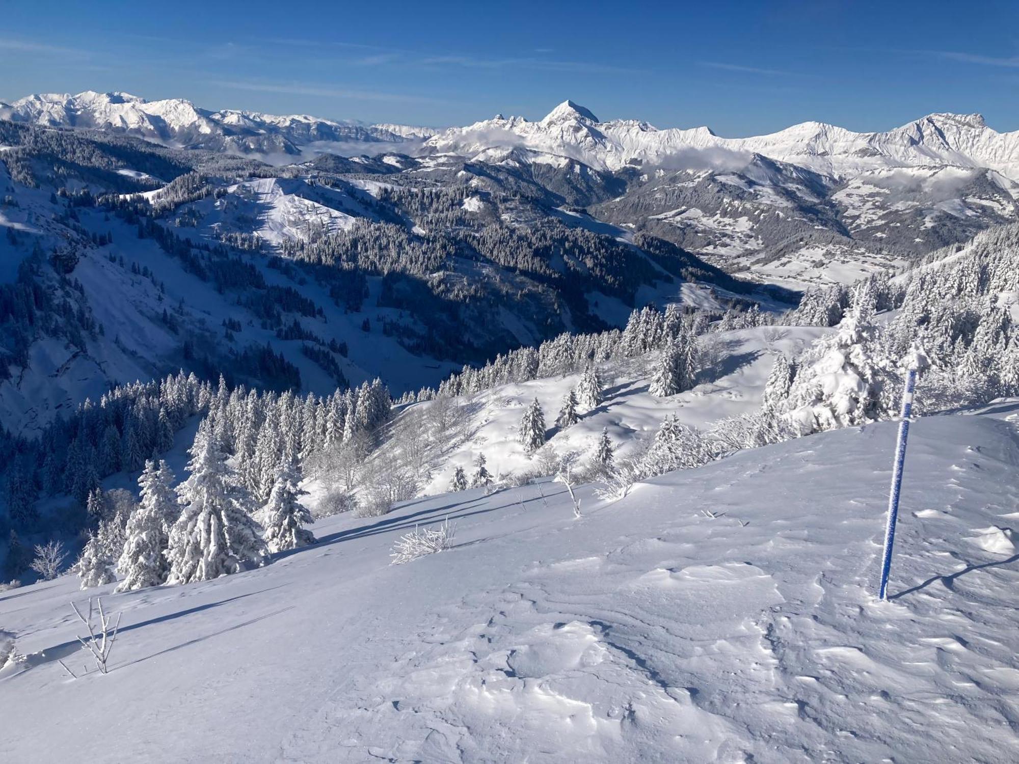Demi Chalet Le Lachat Notre-Dame-de-Bellecombe Zewnętrze zdjęcie