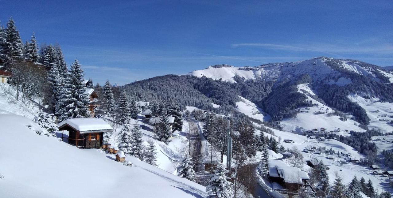 Demi Chalet Le Lachat Notre-Dame-de-Bellecombe Zewnętrze zdjęcie