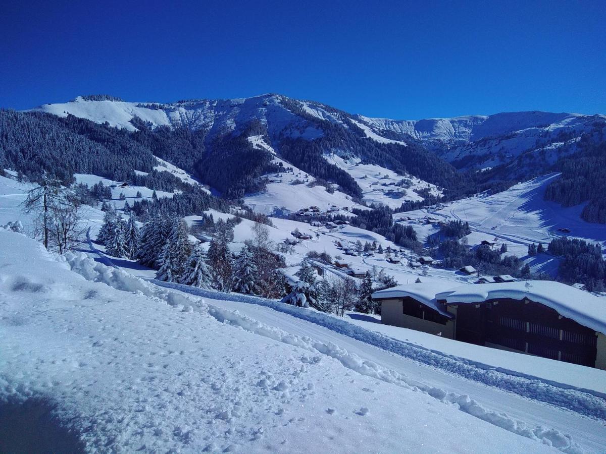 Demi Chalet Le Lachat Notre-Dame-de-Bellecombe Zewnętrze zdjęcie